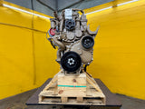 1985 Cummins BIG CAM 3 Diesel Engine For Sale
