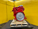 2001 Hino J08C-TP Diesel Engine For Sale