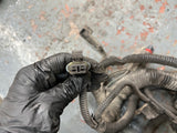 2005 Freightliner Columbia 120 Wiring Harness, FIREWALL TO ECM