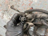 2005 Freightliner Columbia 120 Wiring Harness, FIREWALL TO ECM