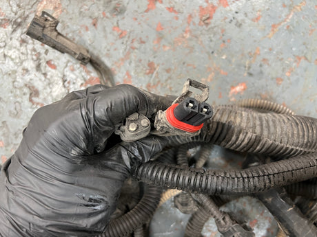 2005 Freightliner Columbia 120 Wiring Harness, FIREWALL TO ECM