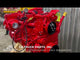2009 Cummins ISL Diesel Engine For Sale, CM2150