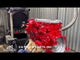 2001 Hino J08C-TP Diesel Engine For Sale